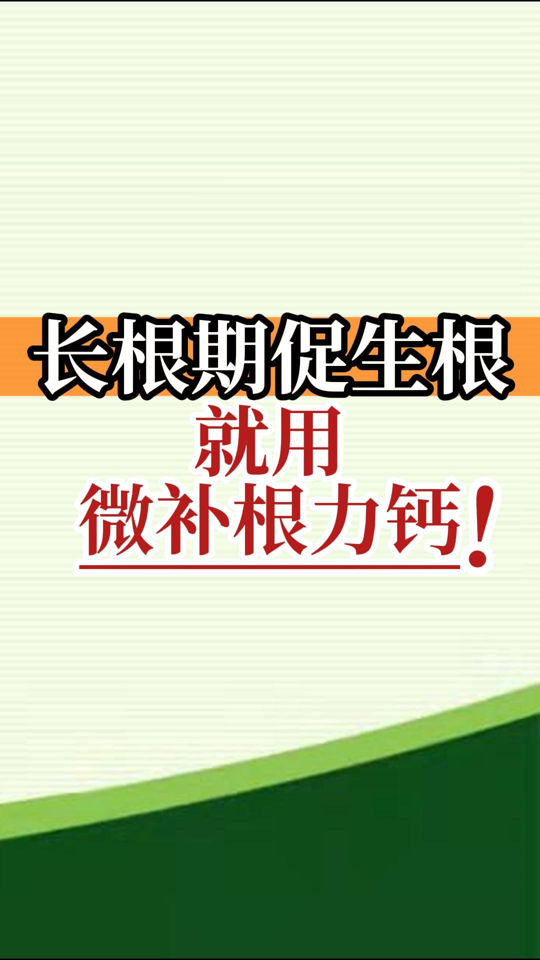 長(zhǎng)根期促生根就用微補(bǔ)根力鈣！