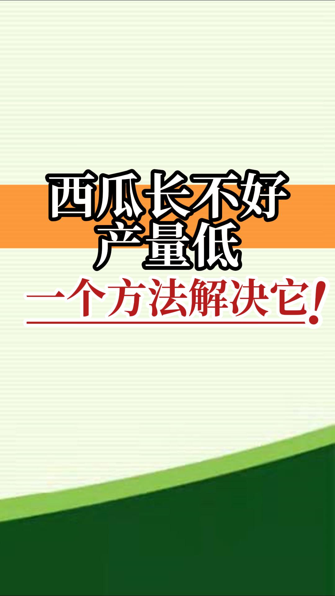 西瓜長(zhǎng)不好產(chǎn)量低？