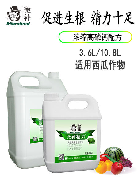 微補精力西瓜