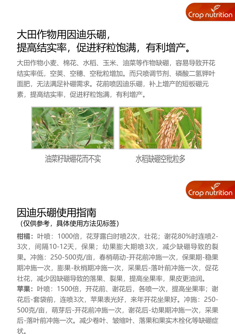 因迪樂硼