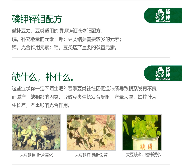 微補(bǔ)豆力