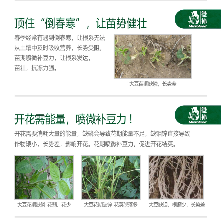微補(bǔ)豆力