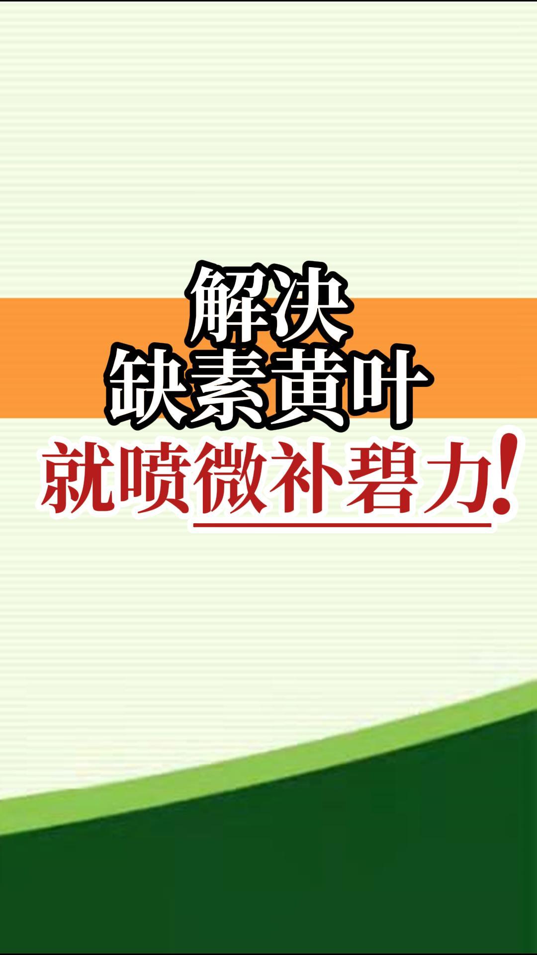 解決缺素黃葉就噴微補(bǔ)碧力！